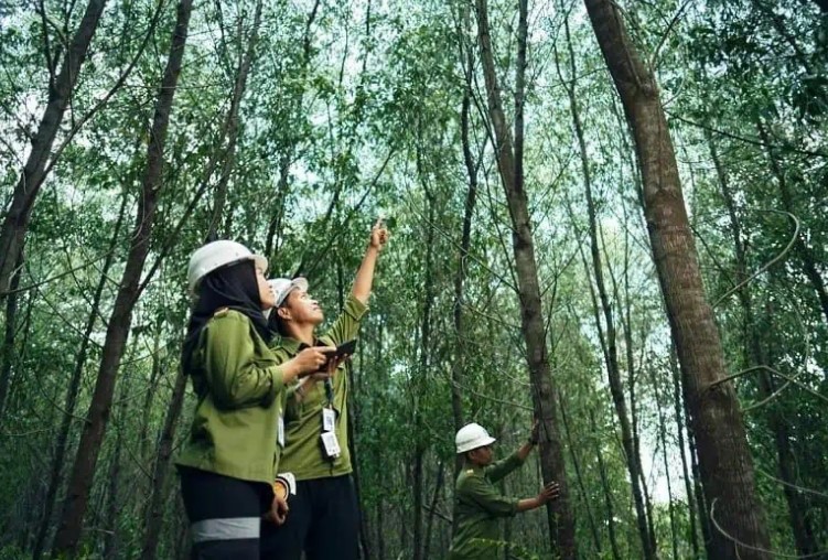 Mengenal Jurusan Kehutanan Buat Pecinta Alam